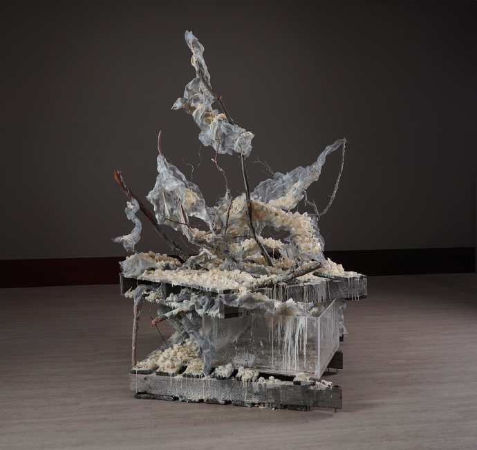 3a Entropy of Fleeting Moments full view Annie Heisel