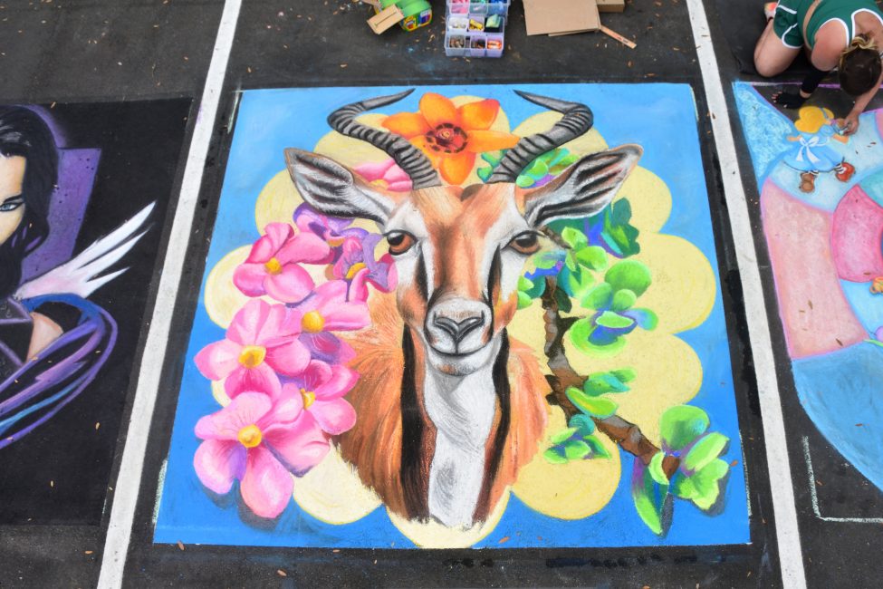 Springbock